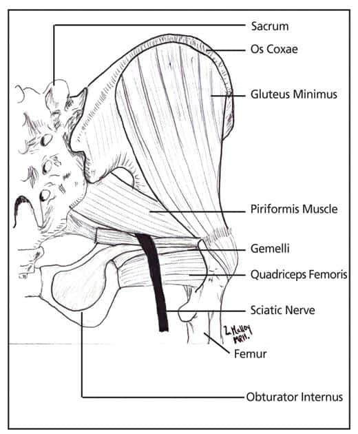 Physical Therapy in California South Bay for Back - Piriformis
